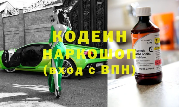 крисы Кулебаки