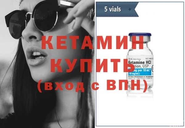 крисы Кулебаки