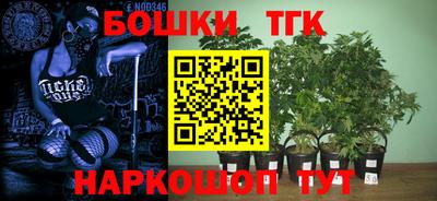 дживик Лесосибирск
