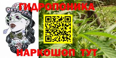 дживик Лесосибирск