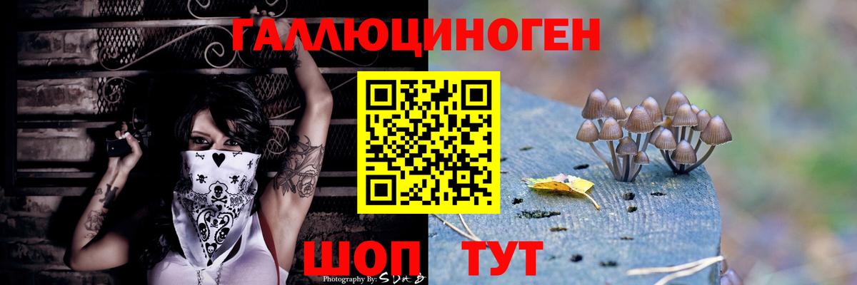 купить закладку  Вход с VPN  Маркс  Псилоцибиновые грибы Cubensis 
